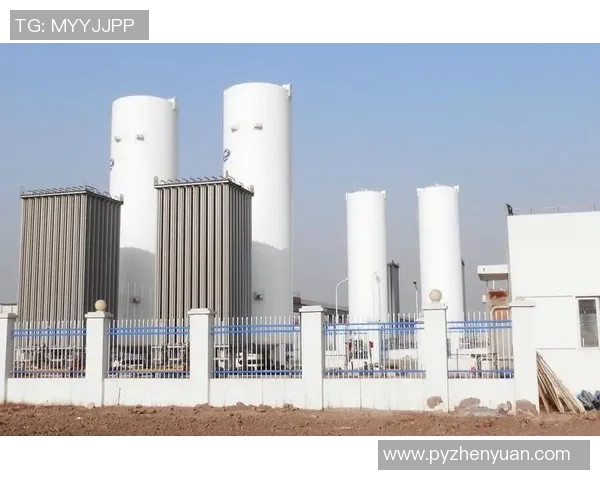 独家解析LNG市场意识的差异与影响因素探讨 独家解析LNG市场意识的差异与影响因素探讨