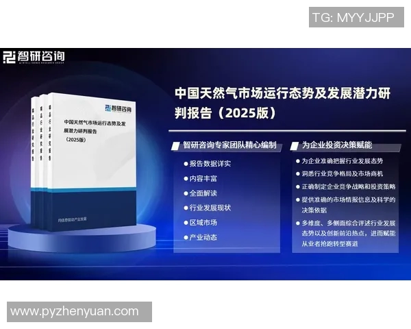 深度解析LNG转换策略及其在能源市场中的应用与前景 深度解析LNG转换策略及其在能源市场中的应用与前景
